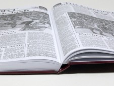 Newspaper Book - Irish Hurling Finals