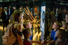 The Mary Rose: Day Admission Ticket for Two