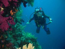 Scuba Diving PADI Course