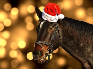 Horse Racing Gifts for Christmas