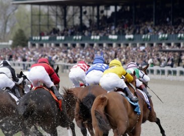 Valentine's Day - Horse Racing Gift Experiences