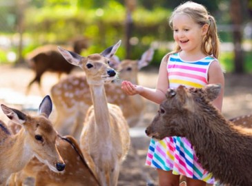 Gift Ideas and Presents for Kids
