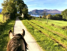 Summer Tours and Sightseeing in Ireland
