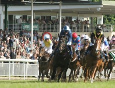 Horse Racing